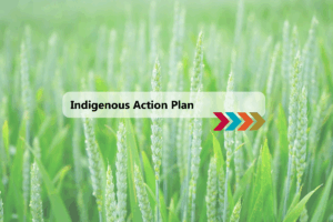 Legal Aid Alberta Indigenous Action Plan